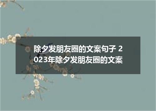除夕发朋友圈的文案句子 2023年除夕发朋友圈的文案