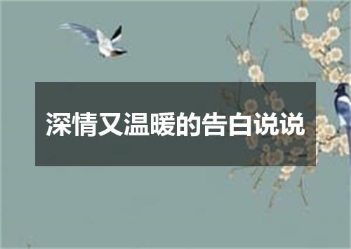 深情又温暖的告白说说