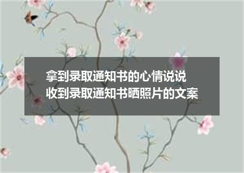 拿到录取通知书的心情说说 收到录取通知书晒照片的文案