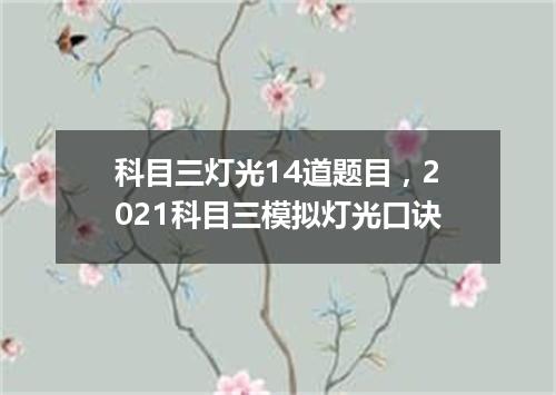 科目三灯光14道题目，2021科目三模拟灯光口诀