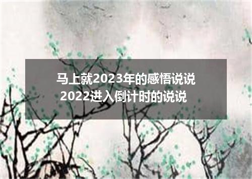 马上就2023年的感悟说说 2022进入倒计时的说说