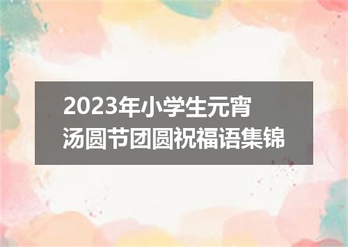 2023年小学生元宵汤圆节团圆祝福语集锦