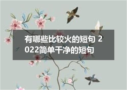 有哪些比较火的短句 2022简单干净的短句