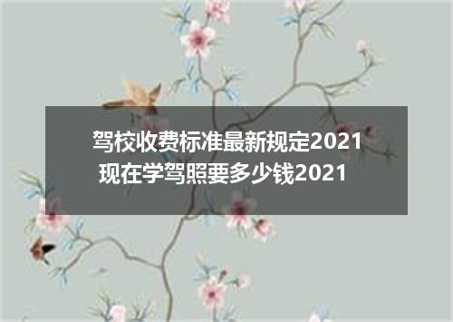 驾校收费标准最新规定2021 现在学驾照要多少钱2021