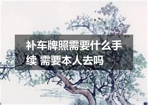 补车牌照需要什么手续 需要本人去吗