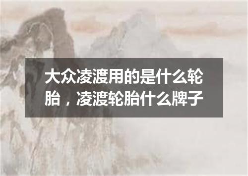 大众凌渡用的是什么轮胎，凌渡轮胎什么牌子