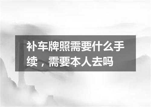 补车牌照需要什么手续，需要本人去吗