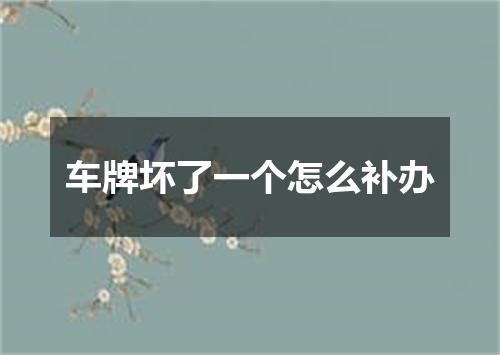 车牌坏了一个怎么补办