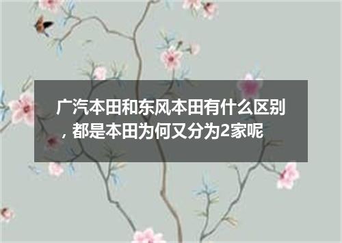 广汽本田和东风本田有什么区别，都是本田为何又分为2家呢