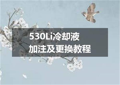 530Li冷却液加注及更换教程