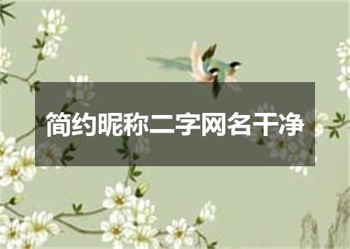 简约昵称二字网名干净
