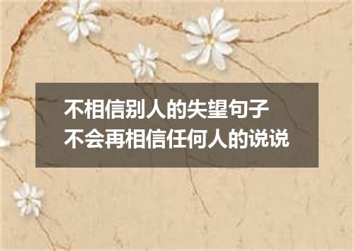 不相信别人的失望句子 不会再相信任何人的说说