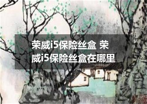 荣威i5保险丝盒 荣威i5保险丝盒在哪里