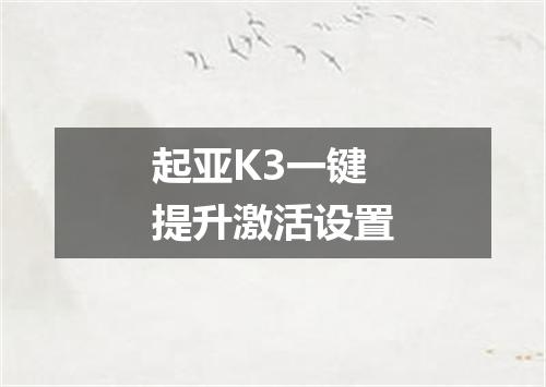 起亚K3一键提升激活设置
