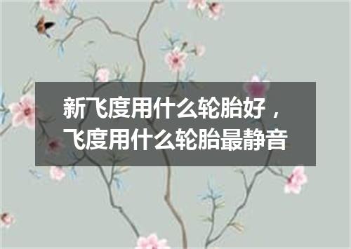 新飞度用什么轮胎好，飞度用什么轮胎最静音