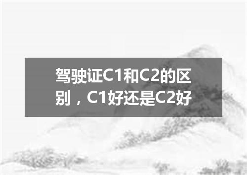 驾驶证C1和C2的区别，C1好还是C2好