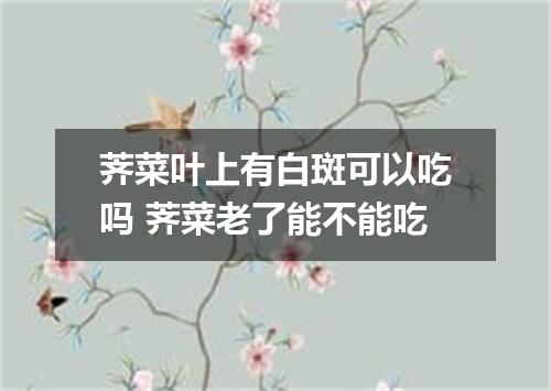 荠菜叶上有白斑可以吃吗 荠菜老了能不能吃