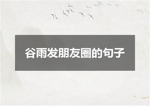 谷雨发朋友圈的句子