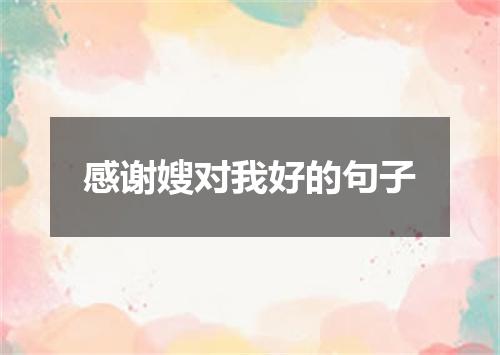 感谢嫂对我好的句子