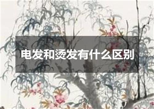 电发和烫发有什么区别