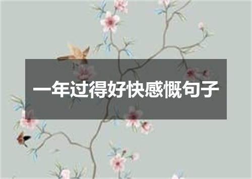 一年过得好快感慨句子