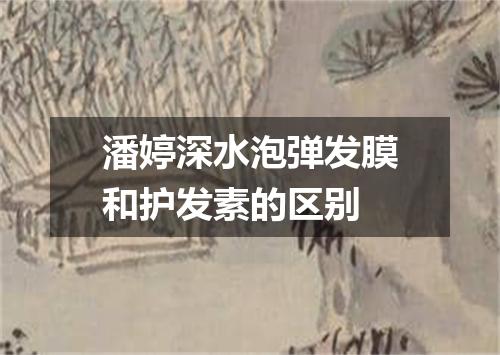 潘婷深水泡弹发膜和护发素的区别