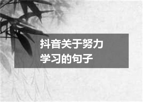 抖音关于努力学习的句子