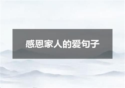感恩家人的爱句子