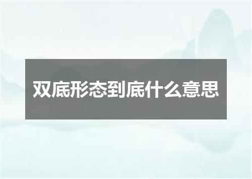 双底形态到底什么意思
