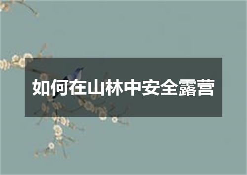 如何在山林中安全露营