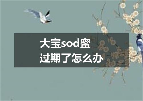 大宝sod蜜过期了怎么办