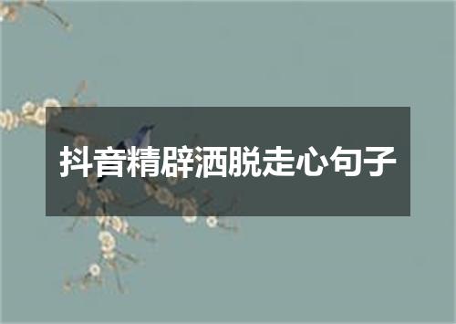 抖音精辟洒脱走心句子