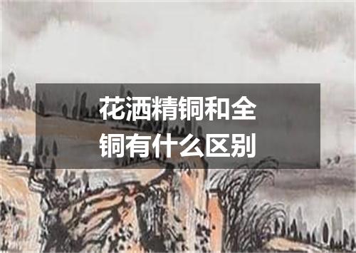 花洒精铜和全铜有什么区别