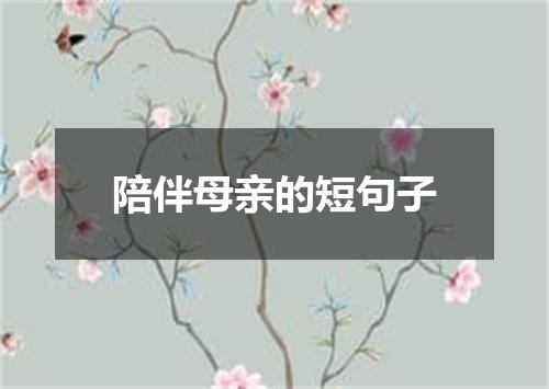 陪伴母亲的短句子