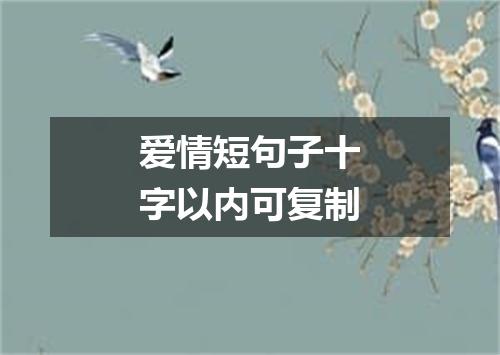 爱情短句子十字以内可复制