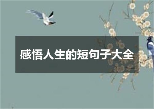 感悟人生的短句子大全