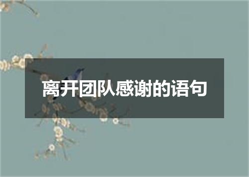 离开团队感谢的语句