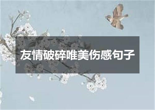 友情破碎唯美伤感句子