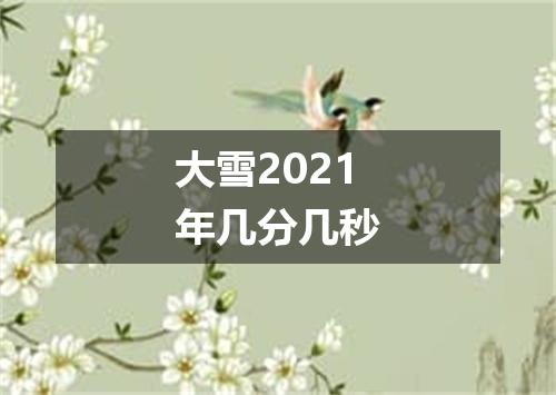 大雪2021年几分几秒