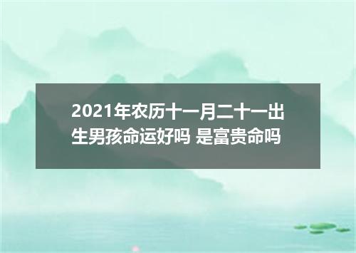 2021年农历十一月二十一出生男孩命运好吗 是富贵命吗