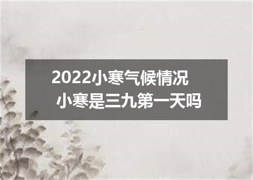 2022小寒气候情况 小寒是三九第一天吗