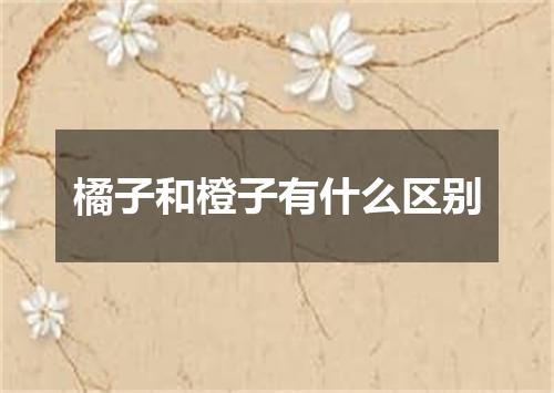 橘子和橙子有什么区别