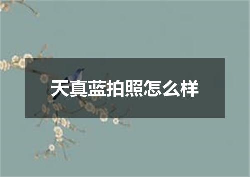 天真蓝拍照怎么样
