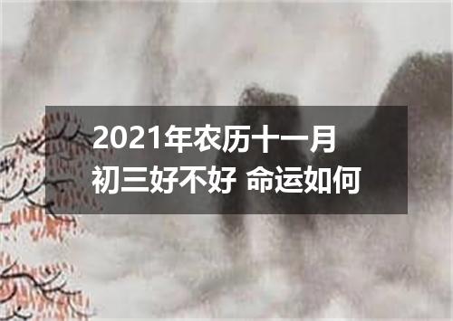 2021年农历十一月初三好不好 命运如何