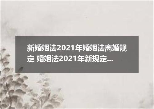 新婚姻法2021年婚姻法离婚规定 婚姻法2021年新规定离婚