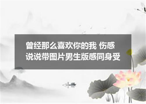 曾经那么喜欢你的我 伤感说说带图片男生版感同身受