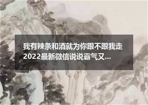我有辣条和酒就为你跟不跟我走 2022最新微信说说霸气又搞笑