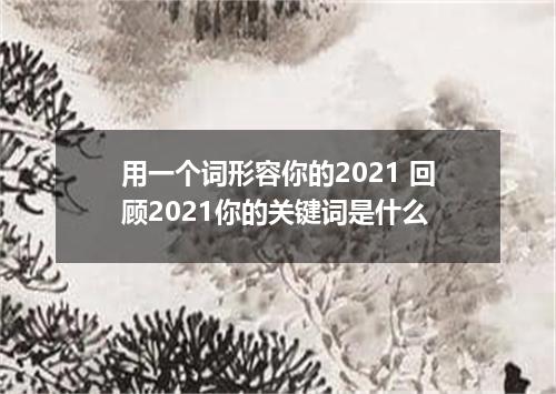 用一个词形容你的2021 回顾2021你的关键词是什么
