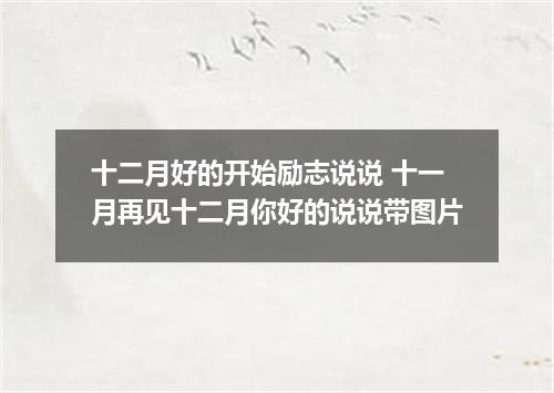 十二月好的开始励志说说 十一月再见十二月你好的说说带图片