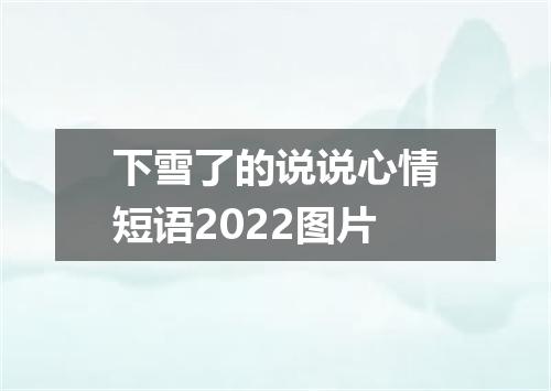 下雪了的说说心情短语2022图片